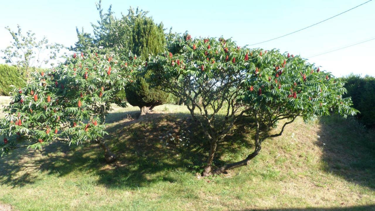 La Maison De Ners Pertheville-Ners Buitenkant foto